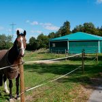 mallasombra picadero para caballerizas mexico